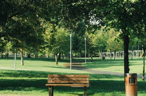 Houten parkbank in een park