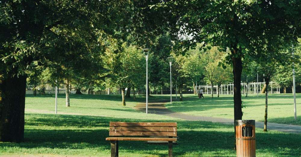 Houten parkbank in een park